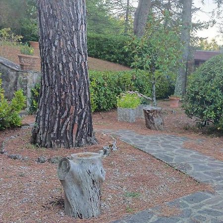 Villa Santa Margherita - La Suvera Ponte A Bozzone Bagian luar foto