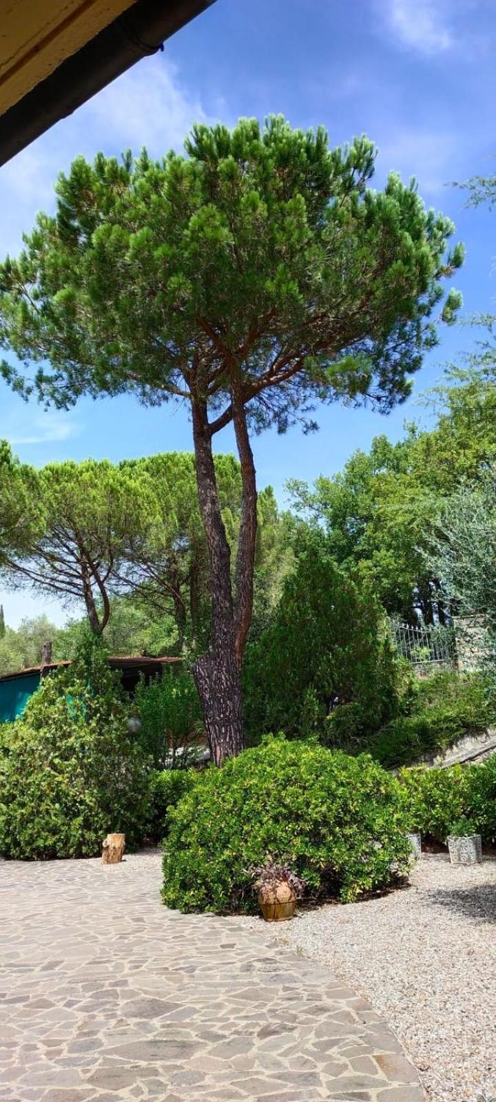 Villa Santa Margherita - La Suvera Ponte A Bozzone Bagian luar foto