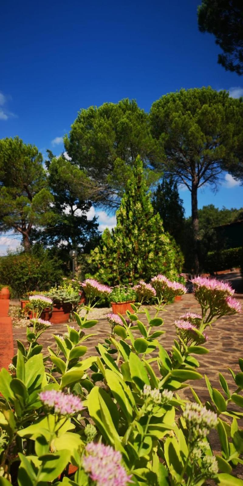 Villa Santa Margherita - La Suvera Ponte A Bozzone Bagian luar foto