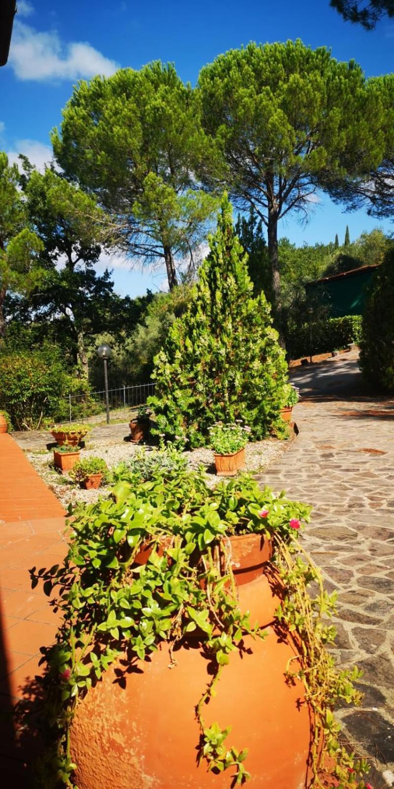 Villa Santa Margherita - La Suvera Ponte A Bozzone Bagian luar foto